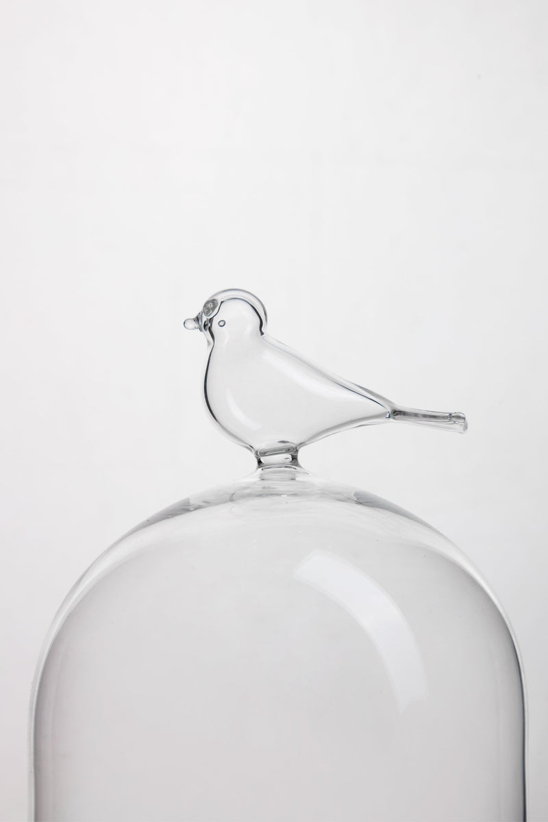 Bird Glass Dome