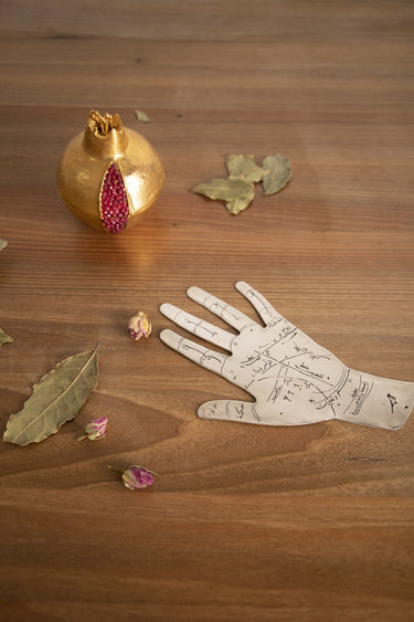 Palm Reader