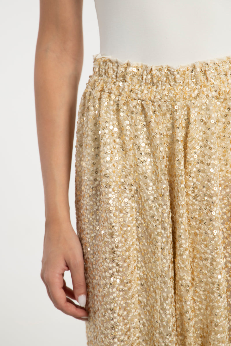 Lina Organza Sequins Embroidered Sirwal