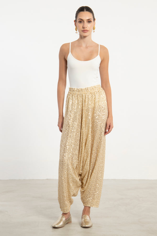 Lina Organza Sequins Embroidered Sirwal