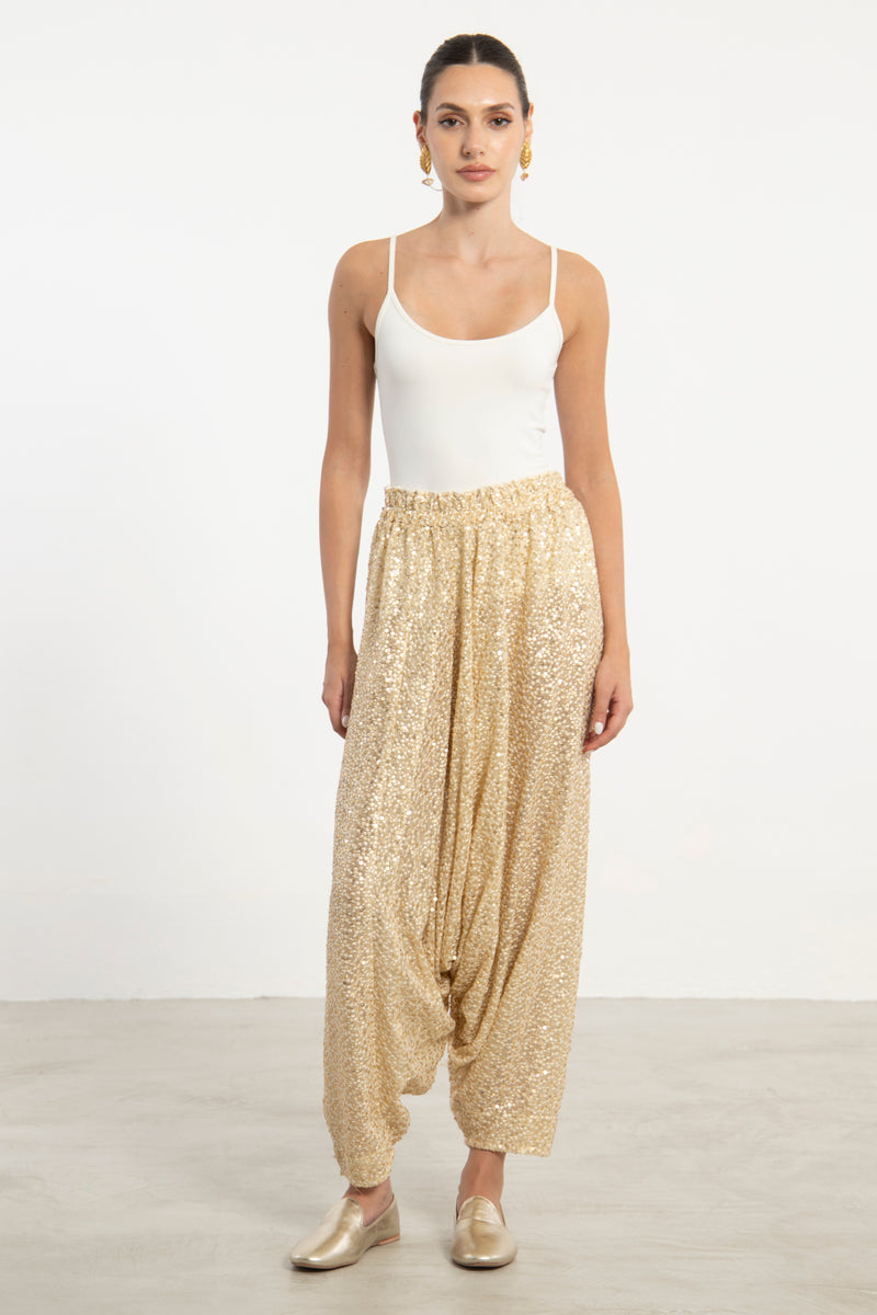 Lina Organza Sequins Embroidered Sirwal