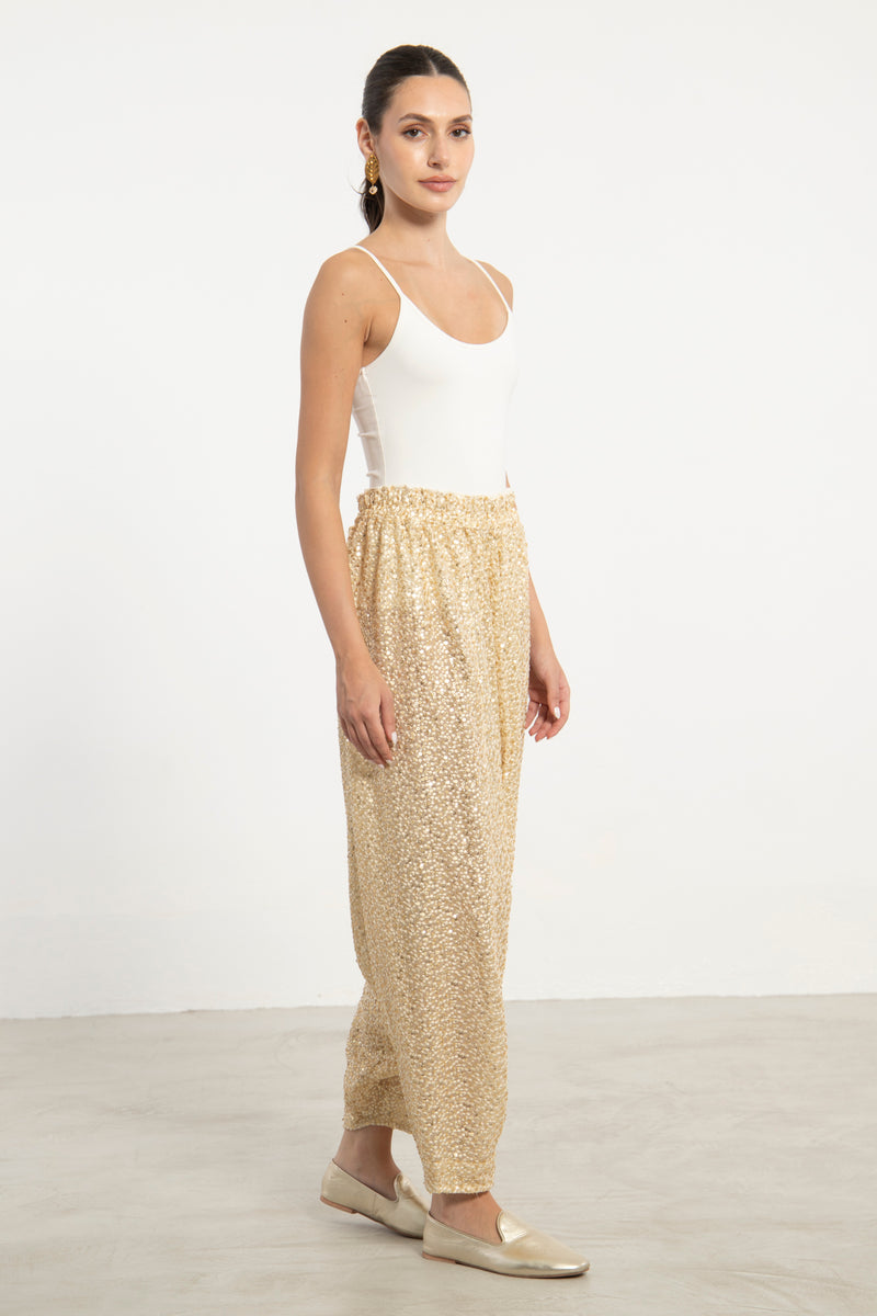 Lina Organza Sequins Embroidered Sirwal