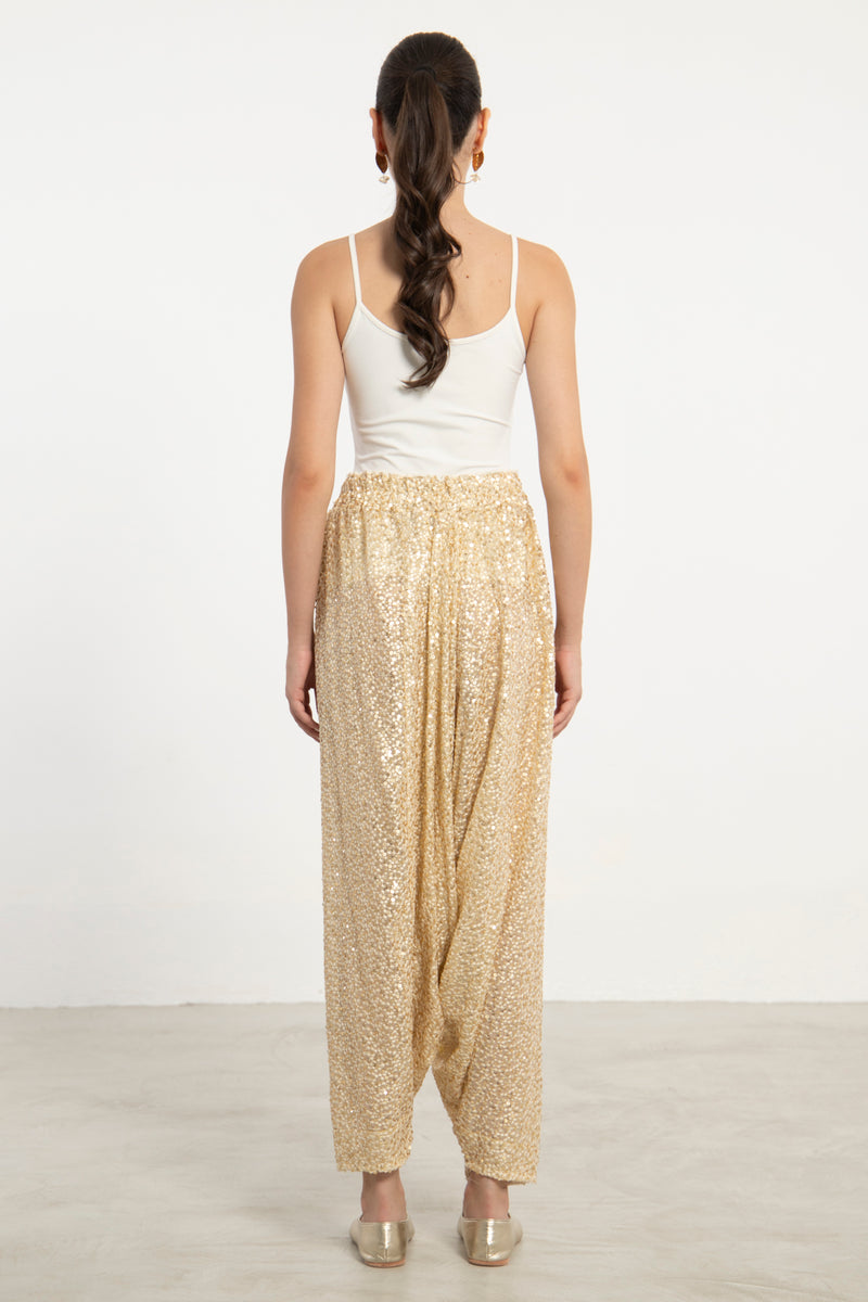 Lina Organza Sequins Embroidered Sirwal