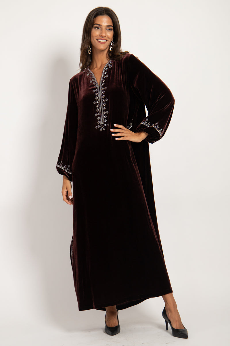 Hayat Velvet Embroidered Brown & Silver Dress