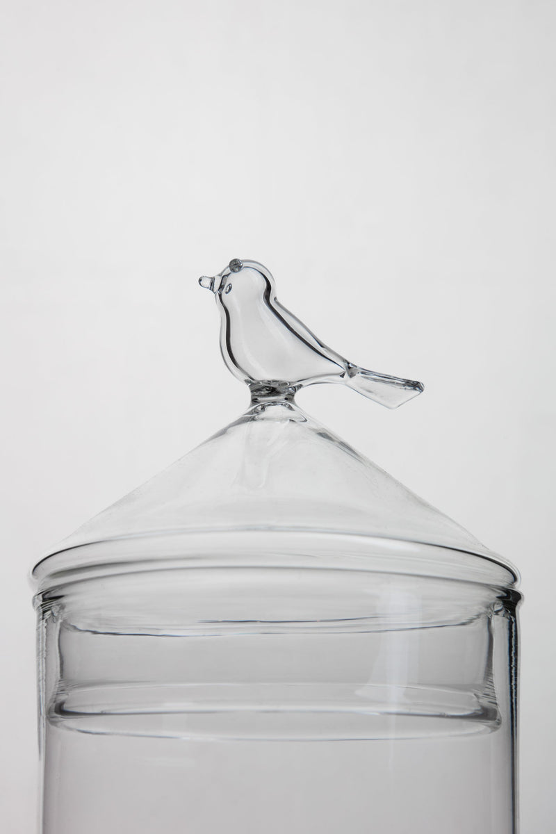 Bird Glass Jar
