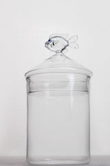 Fish Glass Jar