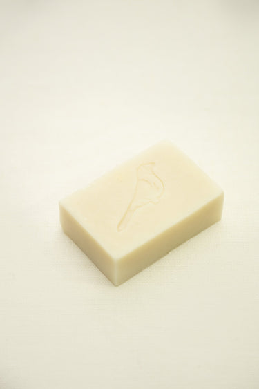 Lavender Soap Duo Set