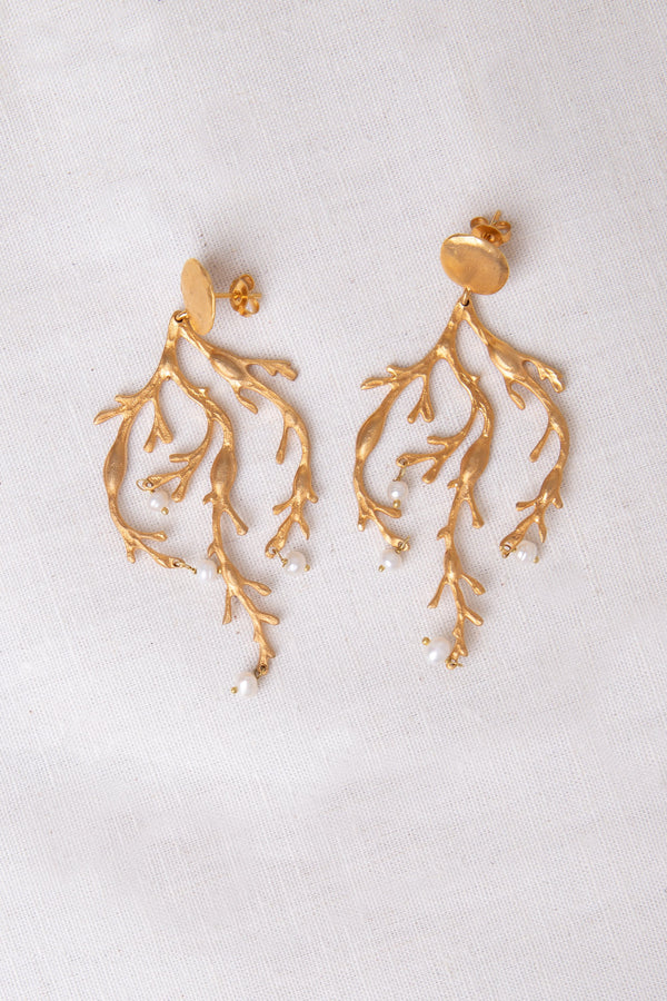 Corals #2 Earrings